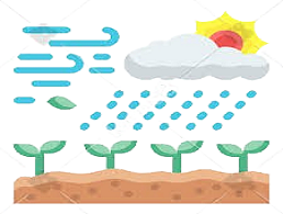 Air and Water Quality