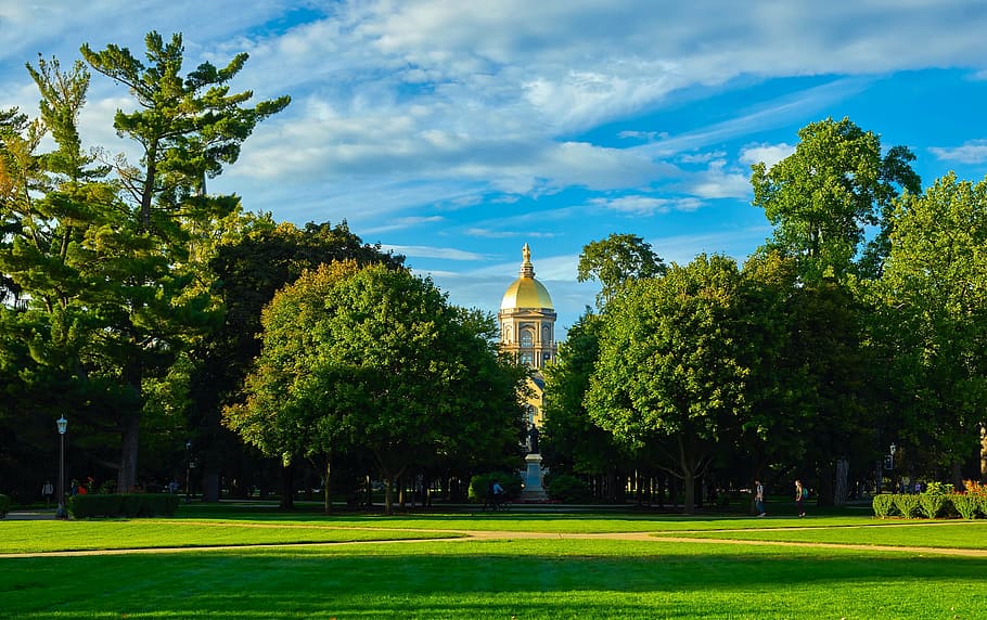 Green Campus